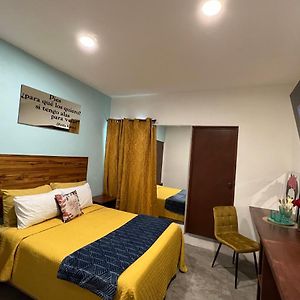 Mini Loft “Frida”